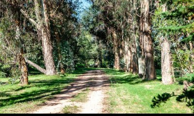Chacra - Miramar Acres