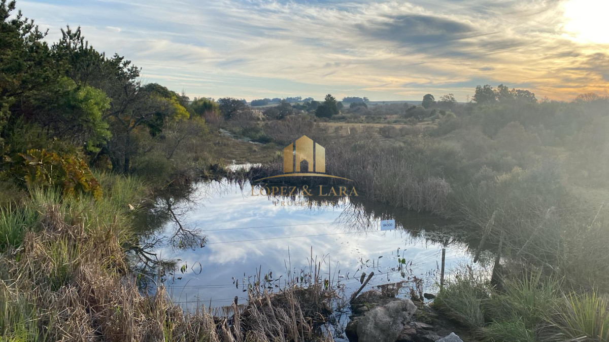 Chacra ID.30 - En exclusividad, a 5 min de Jose Ignacio y lindera a Estancia VIK pero frente a Ruta
