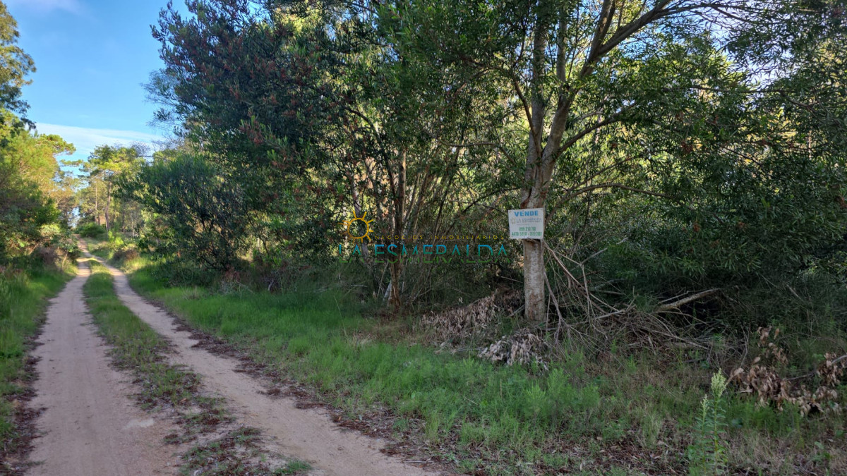 Terreno ID.58 - Terreno en venta 