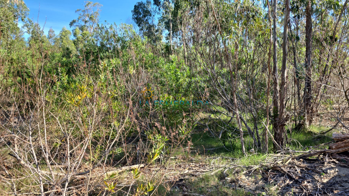 Terreno ID.61 - OPORTUNIDAD Terreno en venta