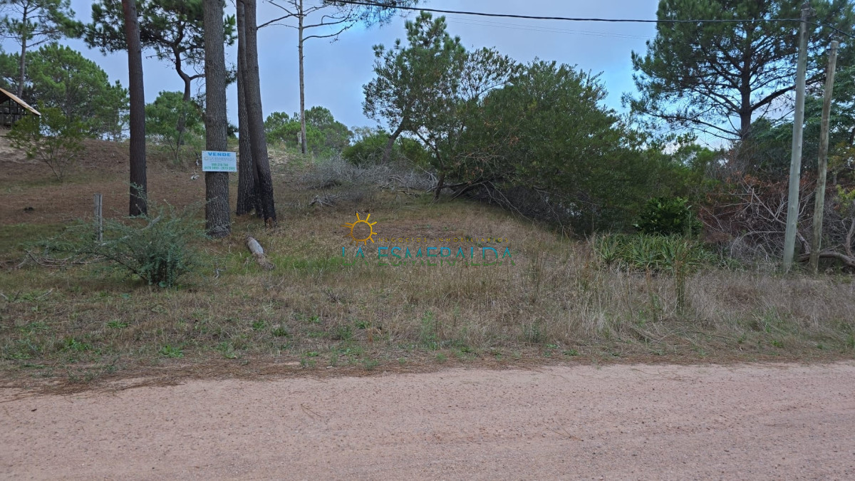 Terreno ID.44 - Terreno arbolado en venta