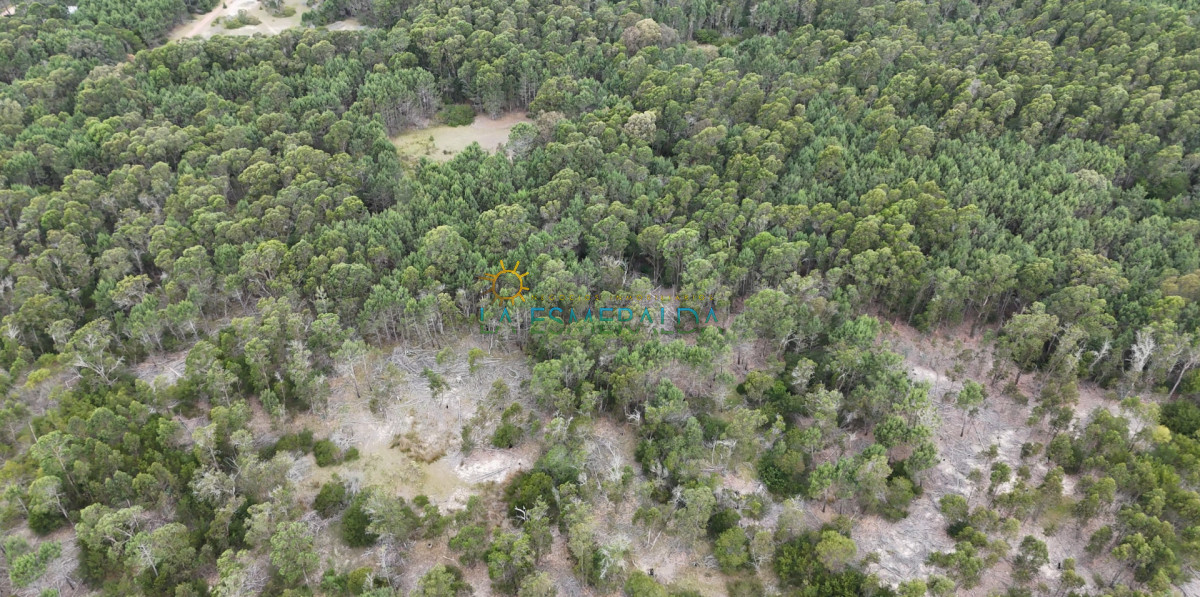 Terreno ID.57 - Terreno en venta