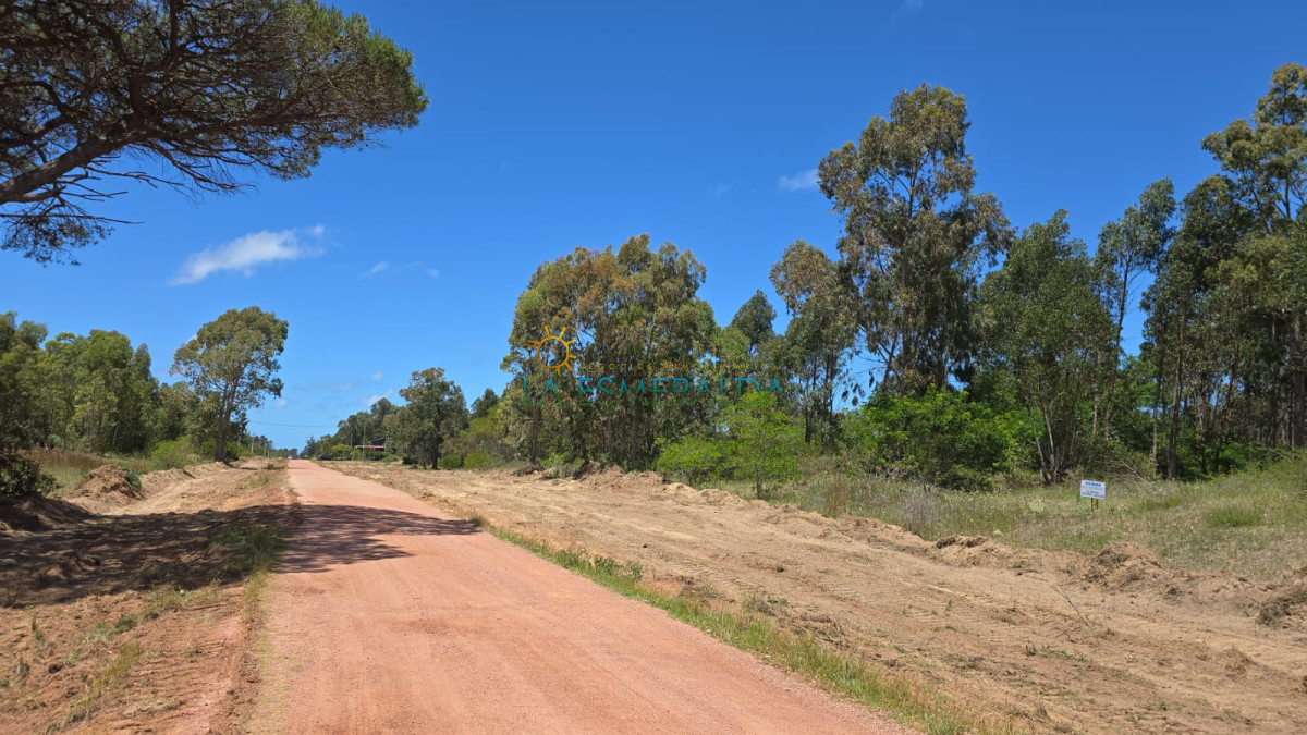 Terreno ID.36 - Terreno en venta sobre avenida 