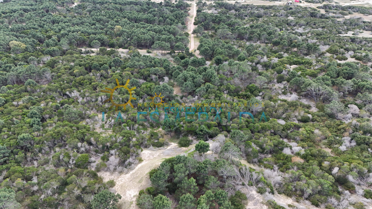 Terreno ID.24 - 3 terrenos en primera linea de manzana