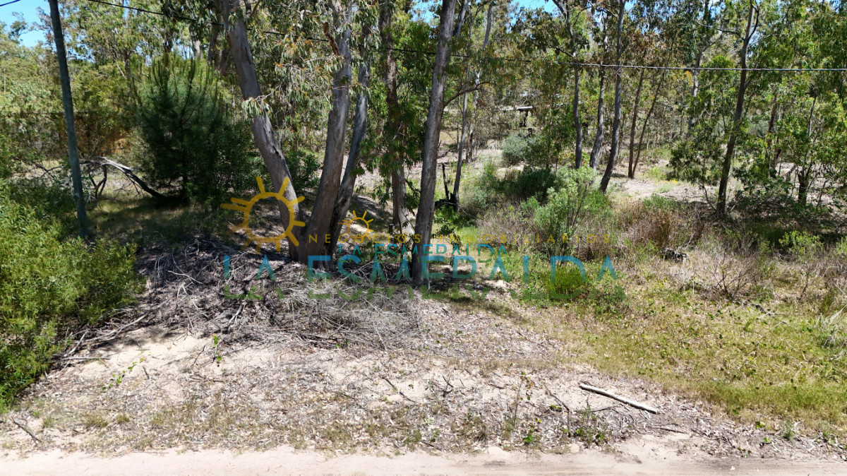 Terreno ID.15 - Terrenos con calle abierta y luz 