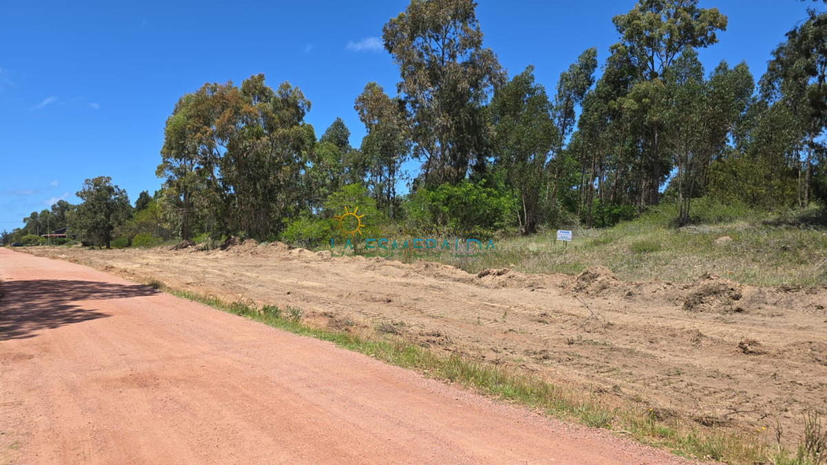 Terreno ID.36 - Terreno en venta sobre avenida 