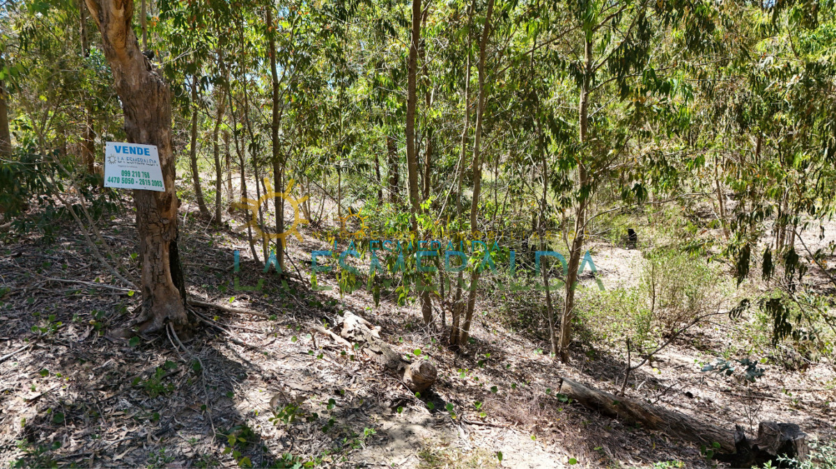 Terreno ID.5 - Terreno con relieve natural