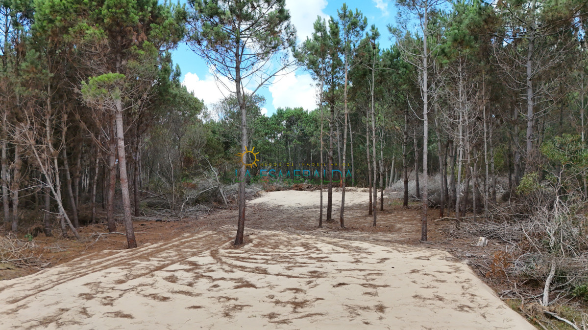 Terreno ID.37 - OPORTUNIDAD: Dos terrenos en venta a una cuadra del mar