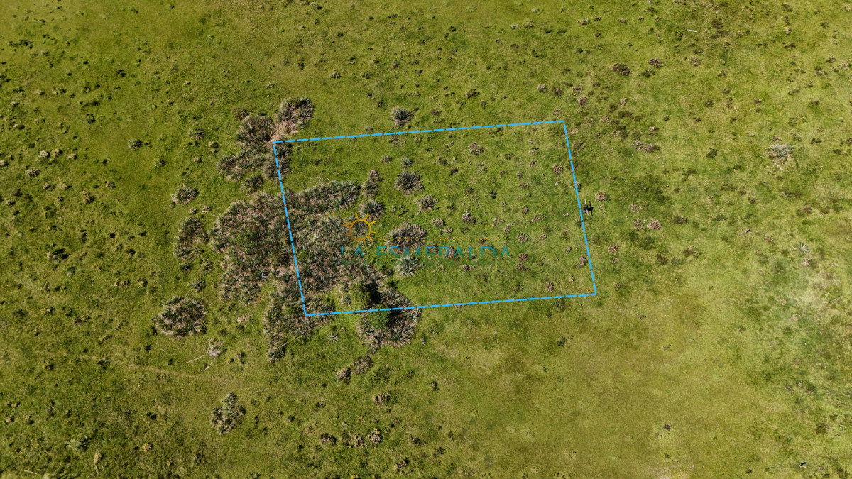 Terreno ID.32 - Terreno amojonado a pocos metros de calle principal