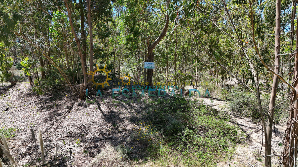 Terreno ID.5 - Terreno con relieve natural