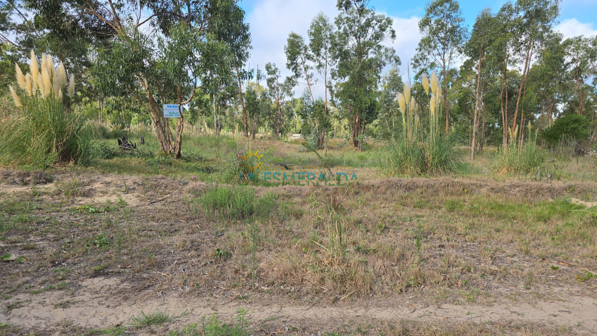 Terreno ID.50 - Oportunidad terreno en venta