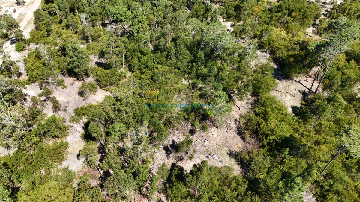 Terreno ID.31 - Terreno en zona natural