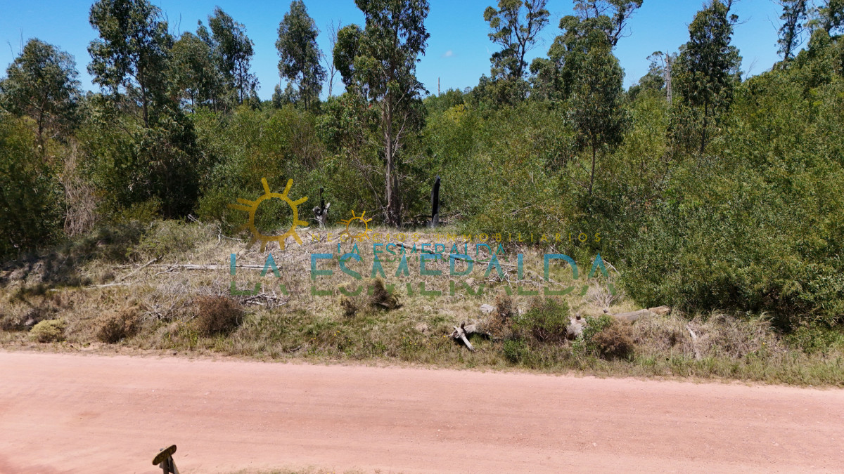 Terreno ID.11 - Terreno esquinero con calle abierta y luz