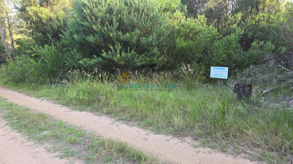 Terreno ID.55 - OPORTUNIDAD terreno en venta