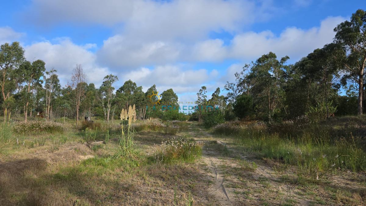 Terreno ID.50 - Oportunidad terreno en venta