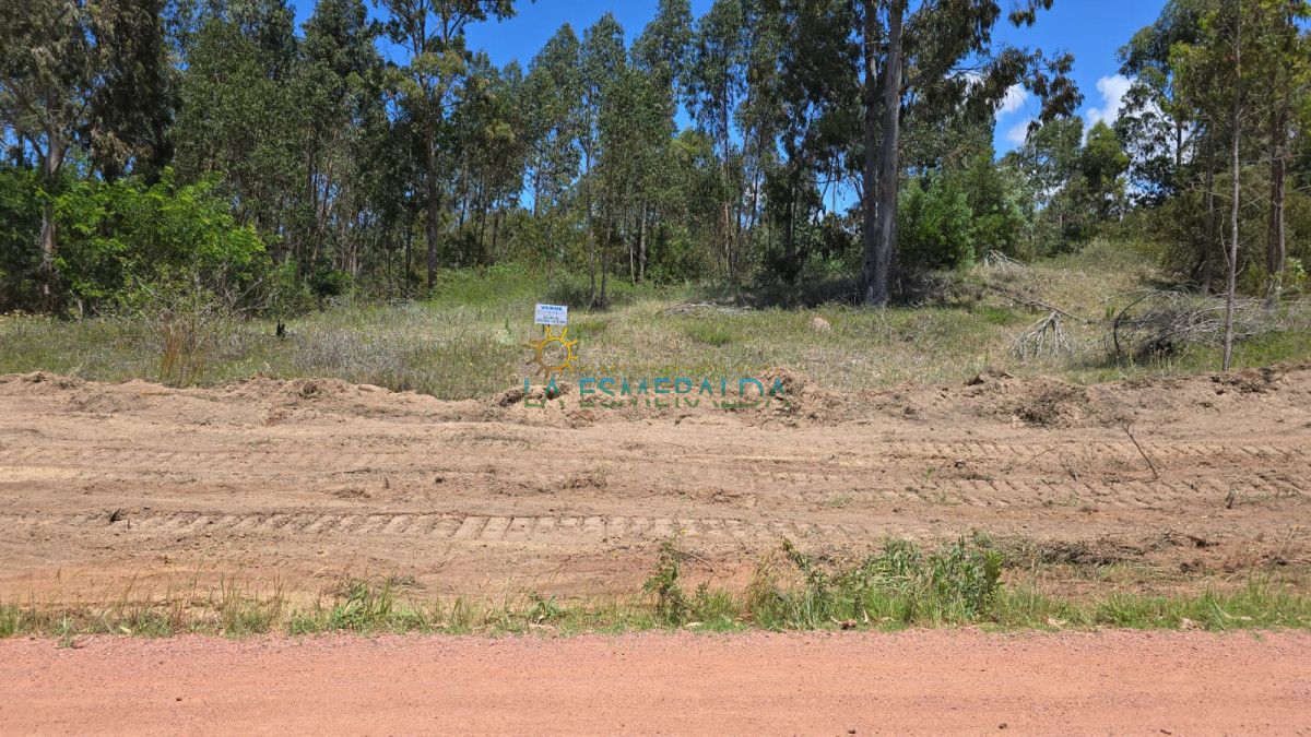 Terreno ID.36 - Terreno en venta sobre avenida 