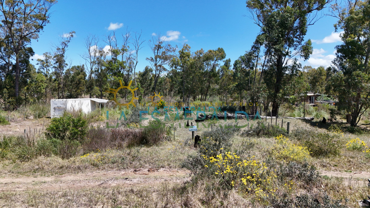 Terreno ID.3 - Terreno 11.500USD cercado, con calle abierta y luz