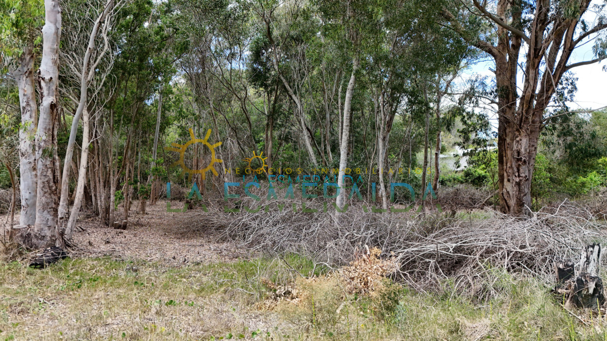 Terreno ID.13 - 3 terrenos juntos en esquina a solo2 cuadras del mar