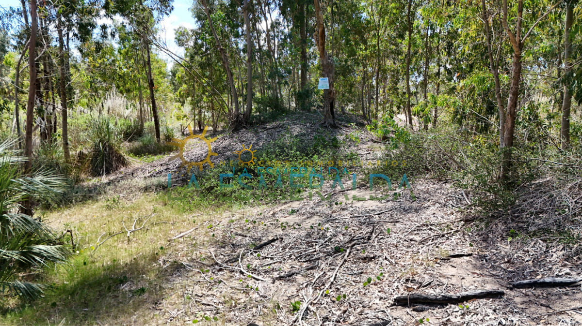 Terreno ID.5 - Terreno con relieve natural