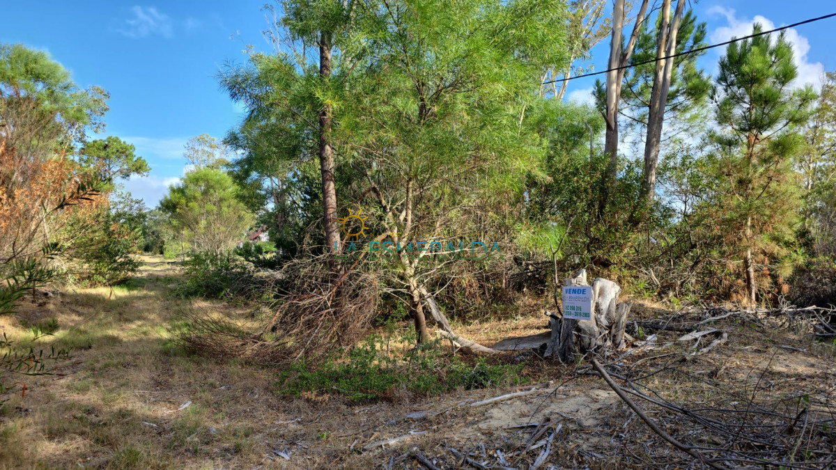 Terreno ID.48 - Oportunidad terreno en venta