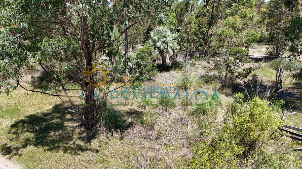 Terreno ID.16 - 3 terrenos con calle abierta y luz