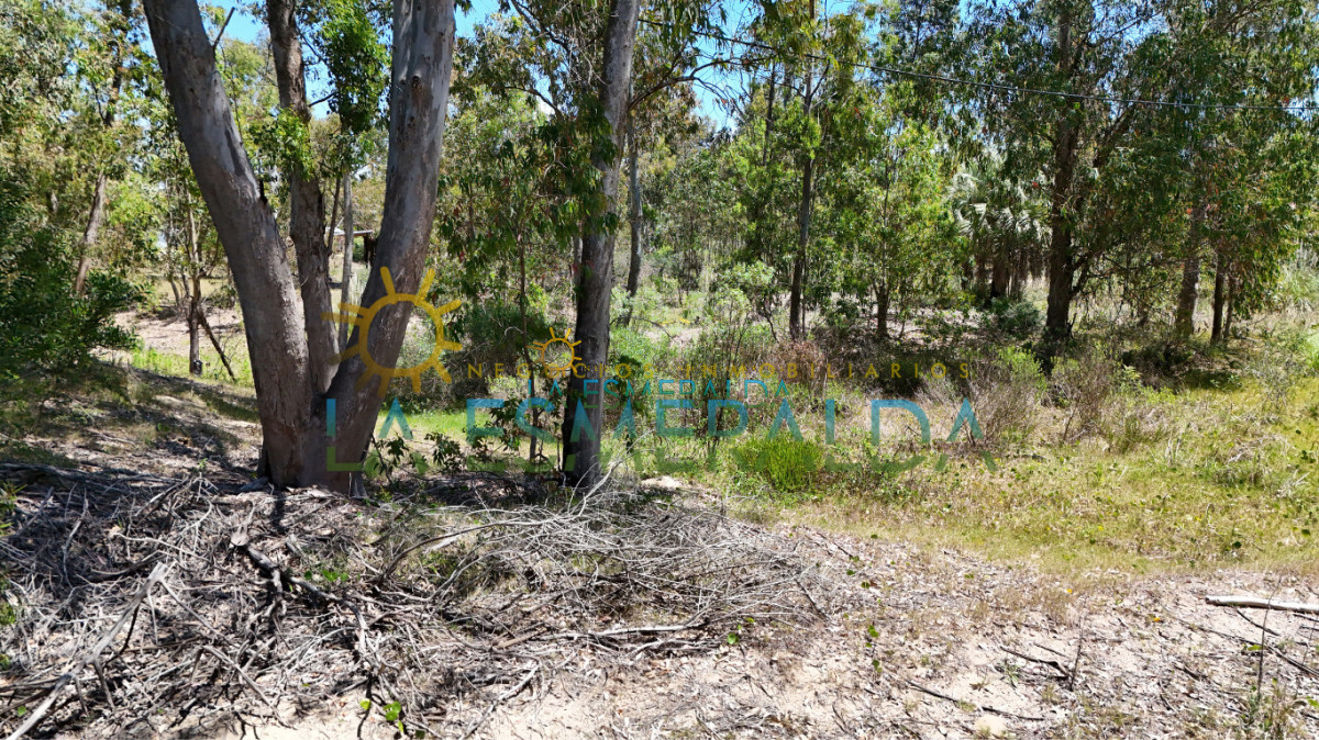 Terreno ID.15 - Terrenos con calle abierta y luz 