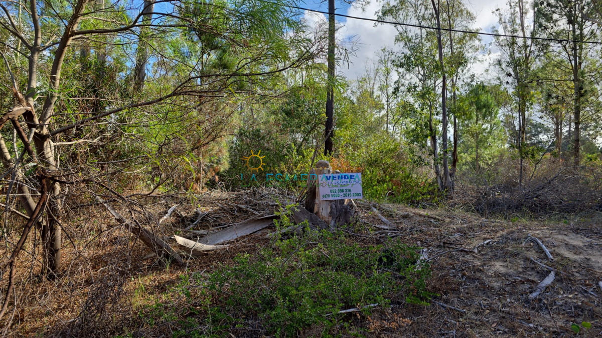 Terreno ID.48 - Oportunidad terreno en venta