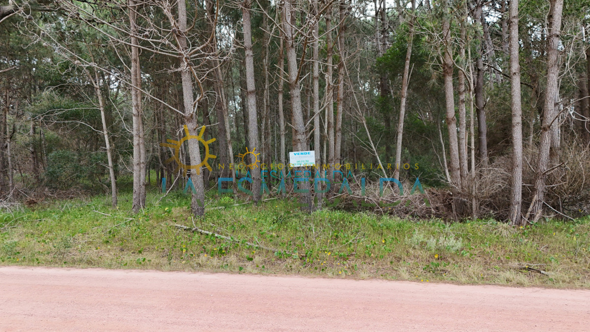 Terreno ID.20 - Dos terrenos a dos cuadras de la playa