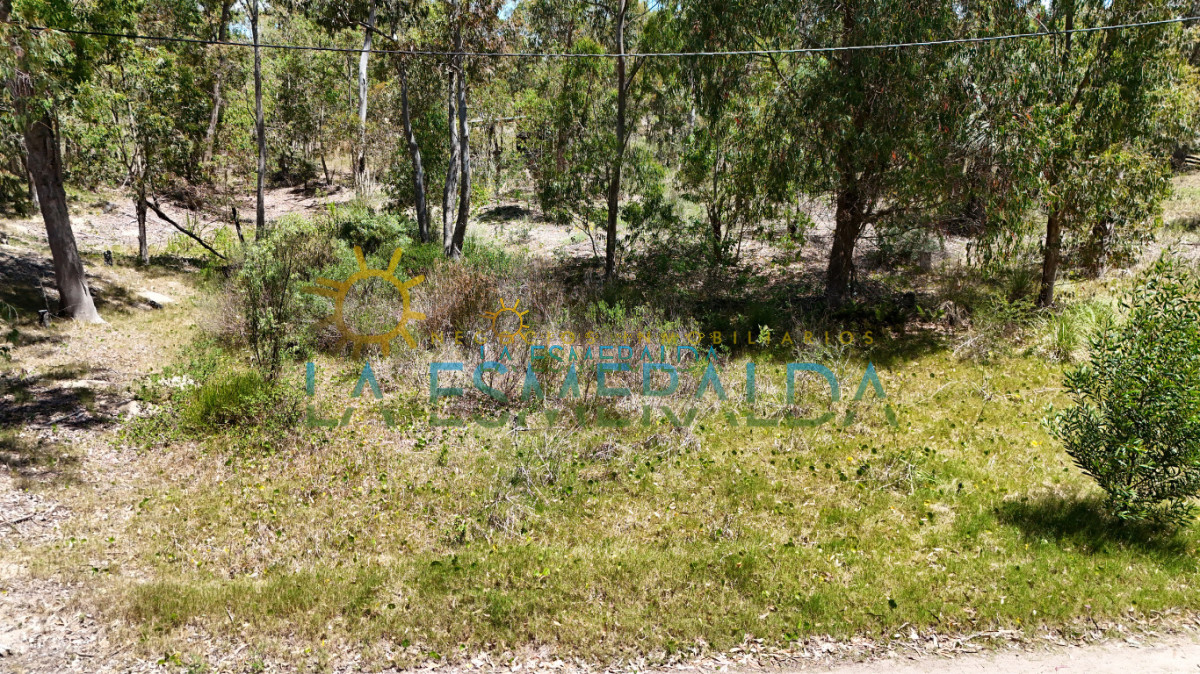 Terreno ID.16 - 3 terrenos con calle abierta y luz