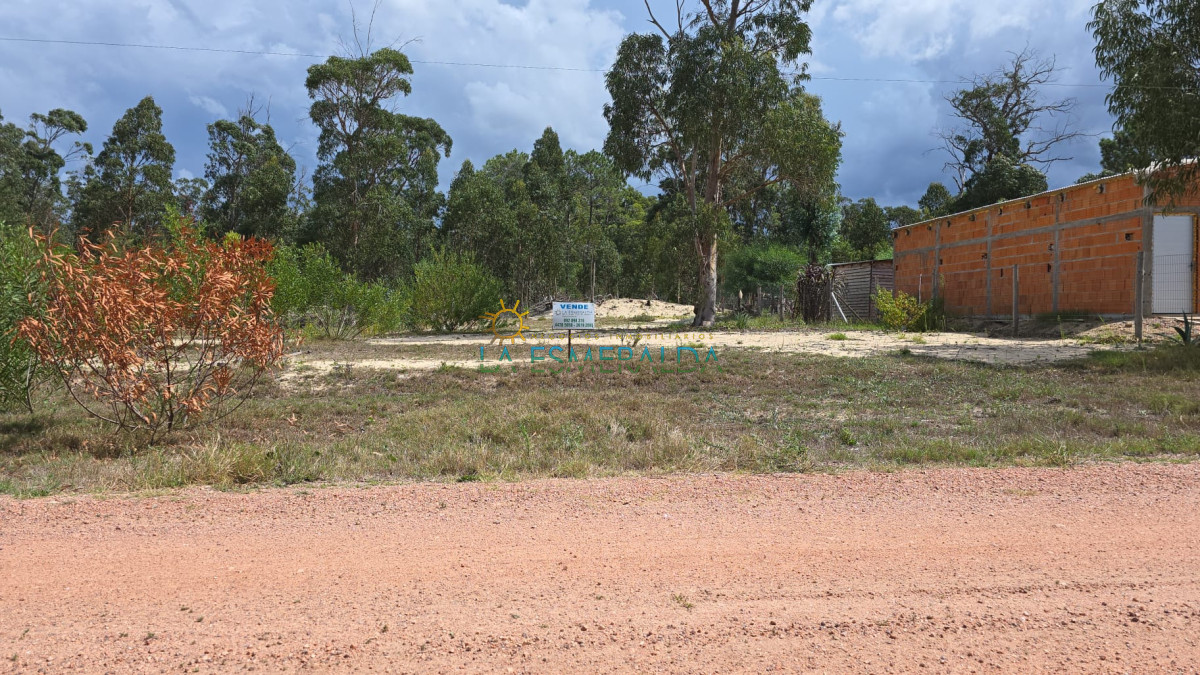 Terreno ID.46 - RESERVADO: Terreno nivelado y amojonado