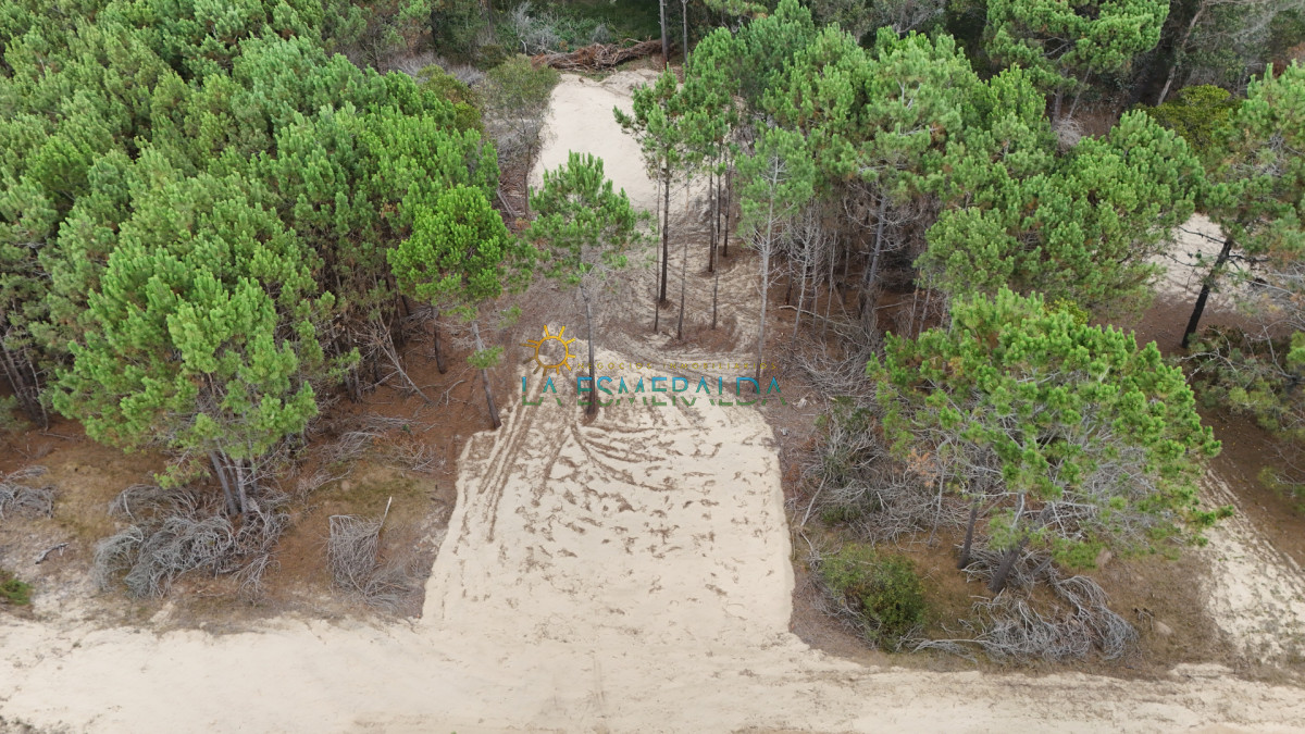 Terreno ID.37 - OPORTUNIDAD: Dos terrenos en venta a una cuadra del mar