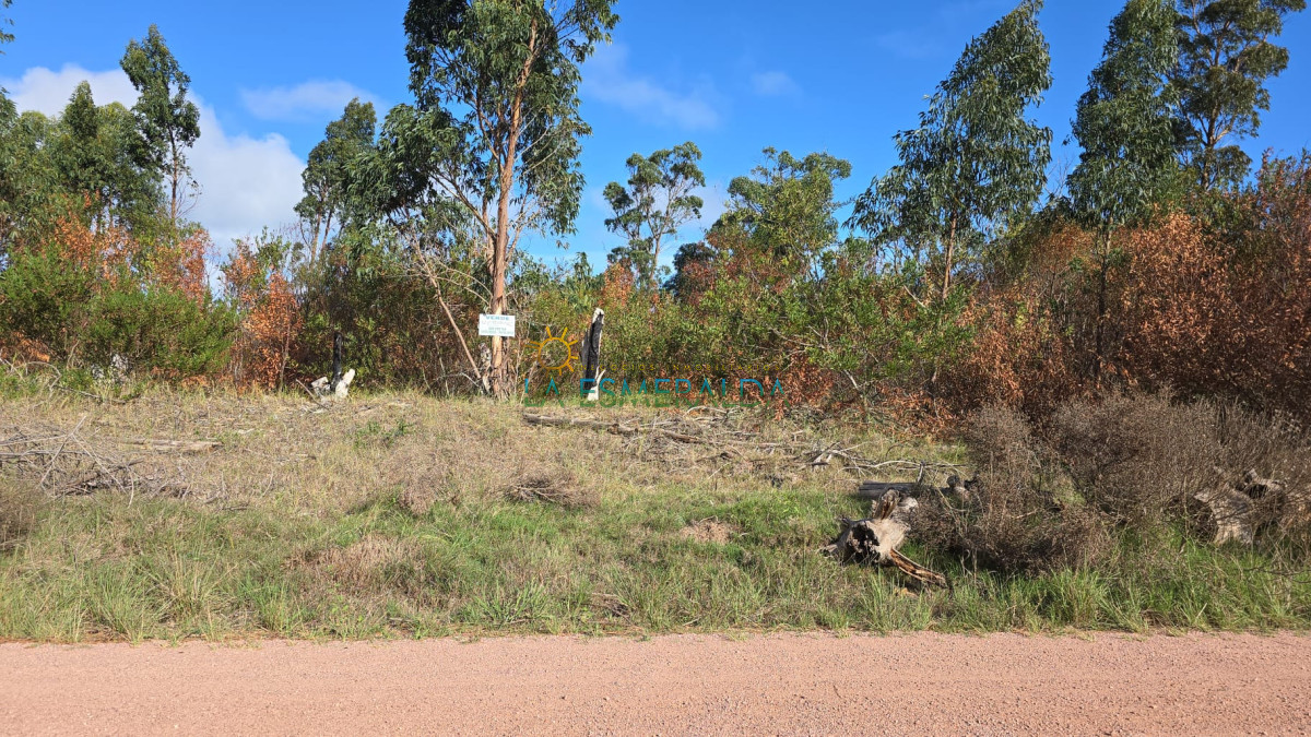 Terreno ID.11 - Terreno esquinero con calle abierta y luz