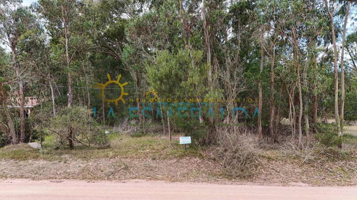 Terreno ID.18 - Terreno sobre calle principal