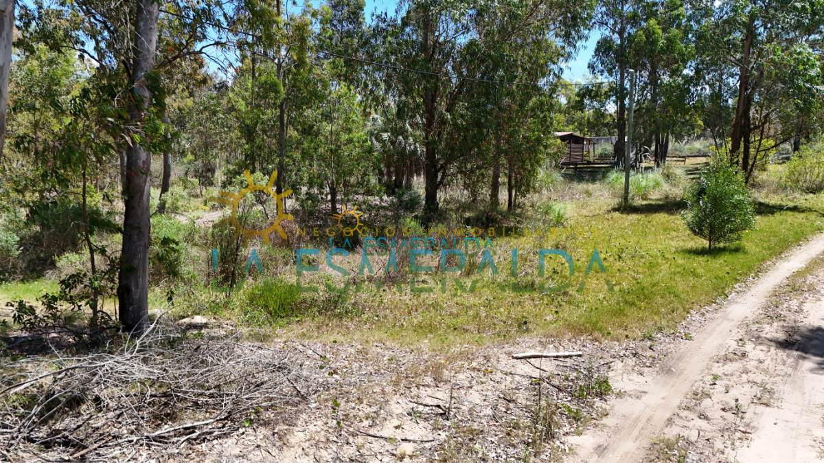 Terreno ID.15 - Terrenos con calle abierta y luz 