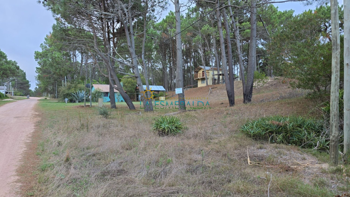 Terreno ID.44 - Terreno arbolado en venta