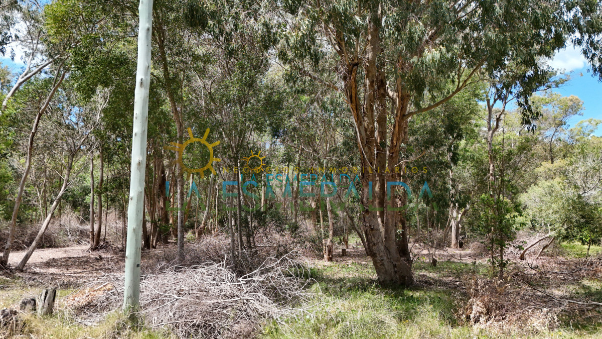 Terreno ID.13 - 3 terrenos juntos en esquina a solo2 cuadras del mar