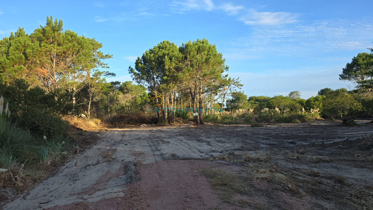 Terreno ID.54 - Dos terrenos en venta en ubicación privilegiada
