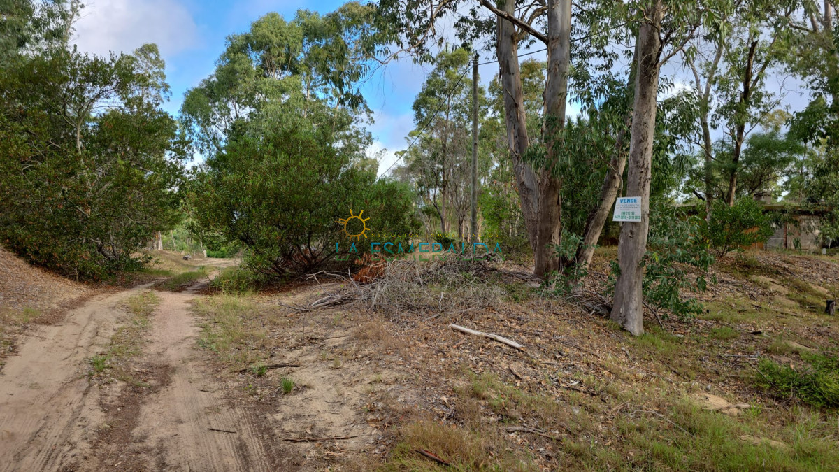 Terreno ID.15 - Terrenos con calle abierta y luz 