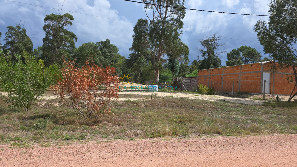 Terreno ID.46 - RESERVADO: Terreno nivelado y amojonado