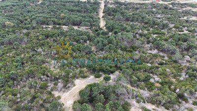 Terreno en primera linea de manzana