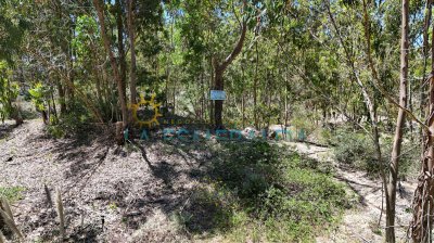 Terreno con relieve natural