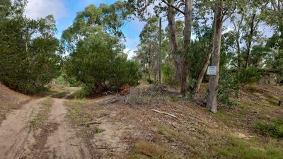 Terrenos con calle abierta y luz 