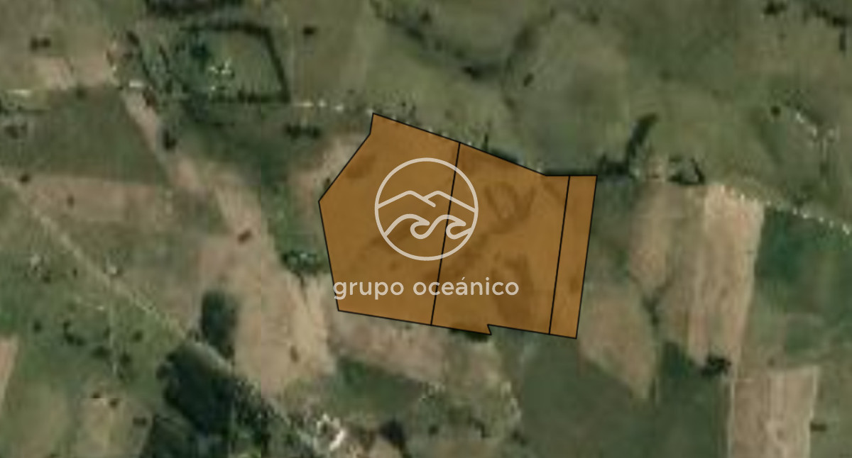 Chacra ID.9 - CHACRA 99 HECTÁREAS EN RINCÓN DE JOSÉ IGNACIO