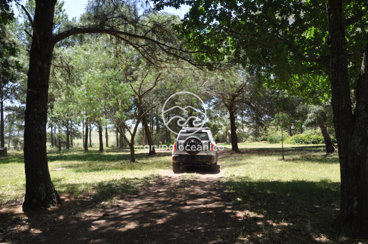 Chacra ID.9 - CHACRA 99 HECTÁREAS EN RINCÓN DE JOSÉ IGNACIO