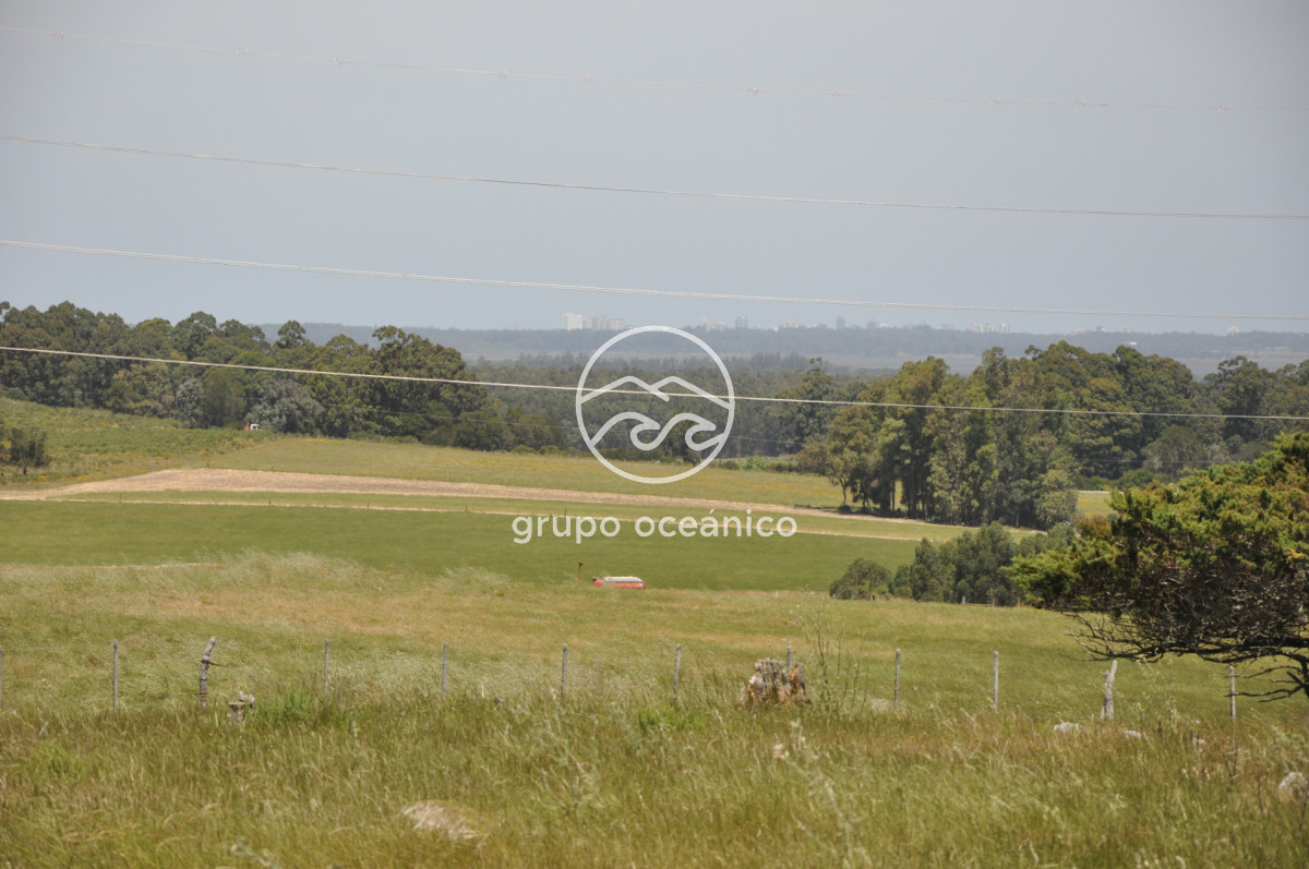 Chacra ID.9 - CHACRA 99 HECTÁREAS EN RINCÓN DE JOSÉ IGNACIO