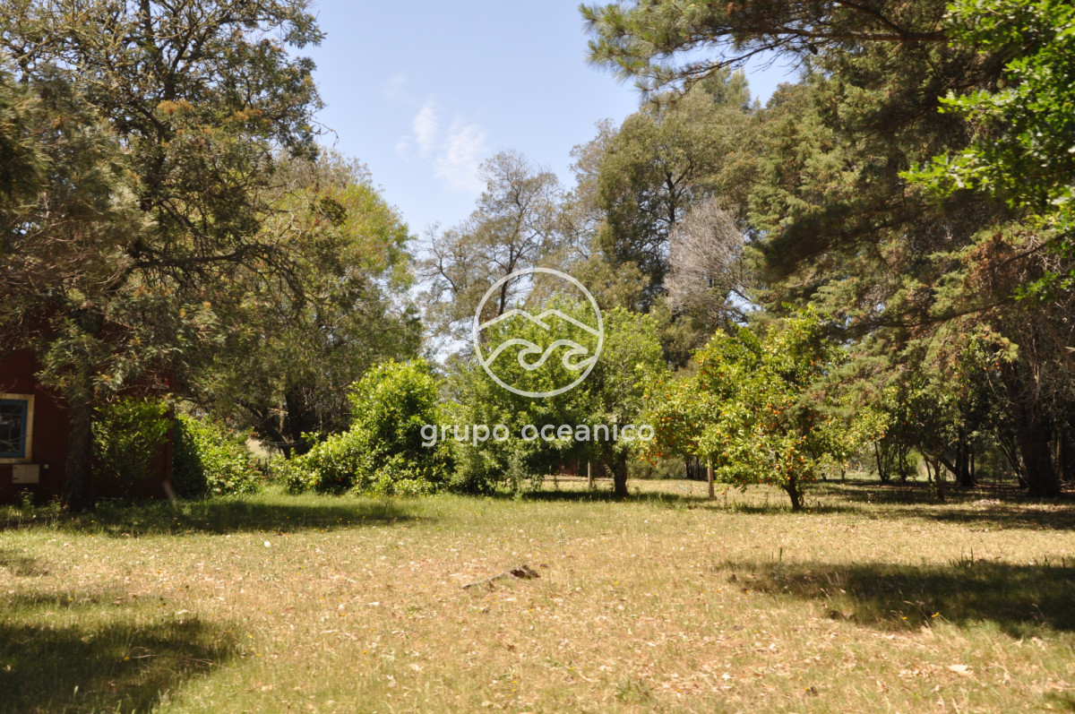 Chacra ID.9 - CHACRA 99 HECTÁREAS EN RINCÓN DE JOSÉ IGNACIO