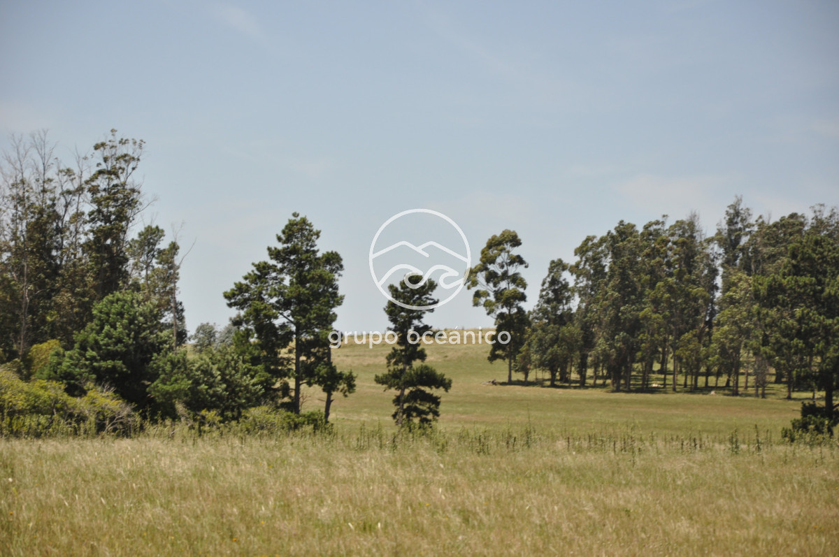 Chacra ID.9 - CHACRA 99 HECTÁREAS EN RINCÓN DE JOSÉ IGNACIO