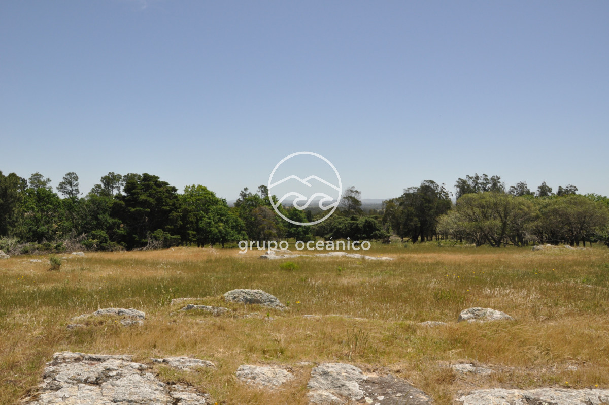 Chacra ID.9 - CHACRA 99 HECTÁREAS EN RINCÓN DE JOSÉ IGNACIO