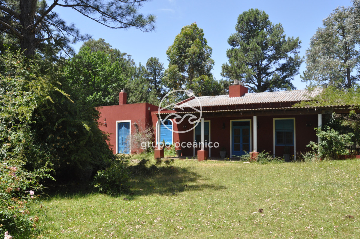 Chacra ID.9 - CHACRA 99 HECTÁREAS EN RINCÓN DE JOSÉ IGNACIO