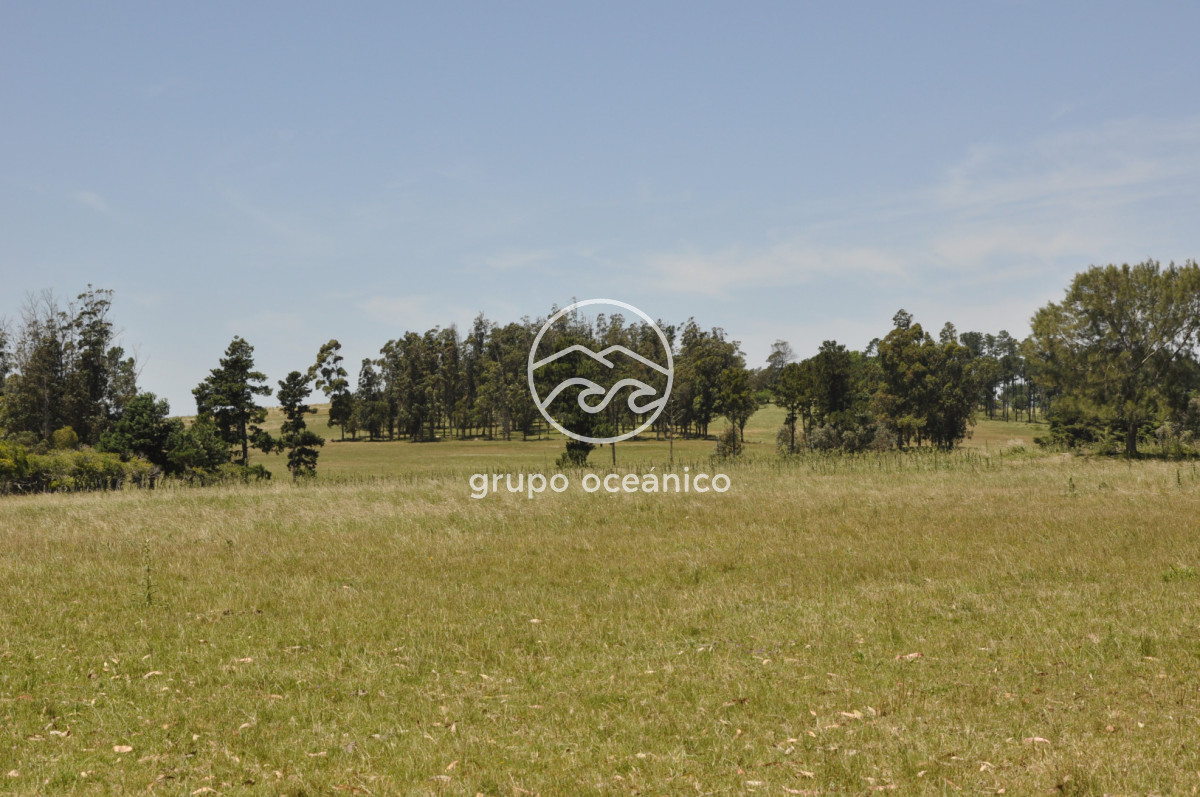 Chacra ID.9 - CHACRA 99 HECTÁREAS EN RINCÓN DE JOSÉ IGNACIO